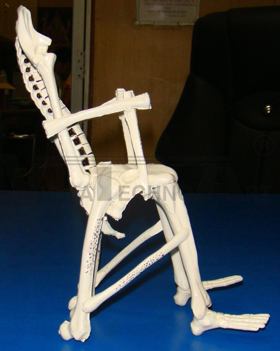 Chair Osteoporesis